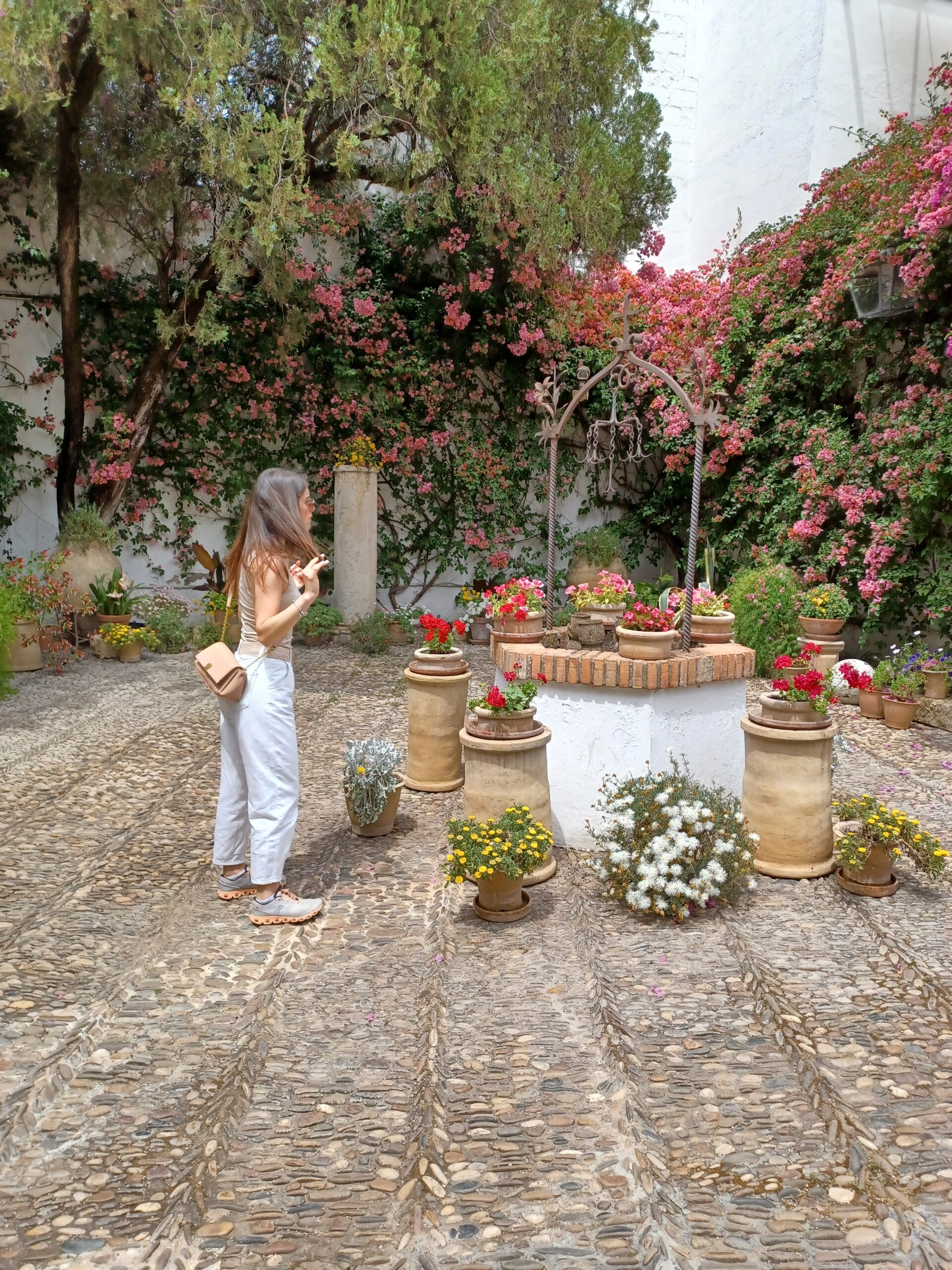 The Patios of Cordoba (World Heritage) really come into their own during the Festival of the Courtyards