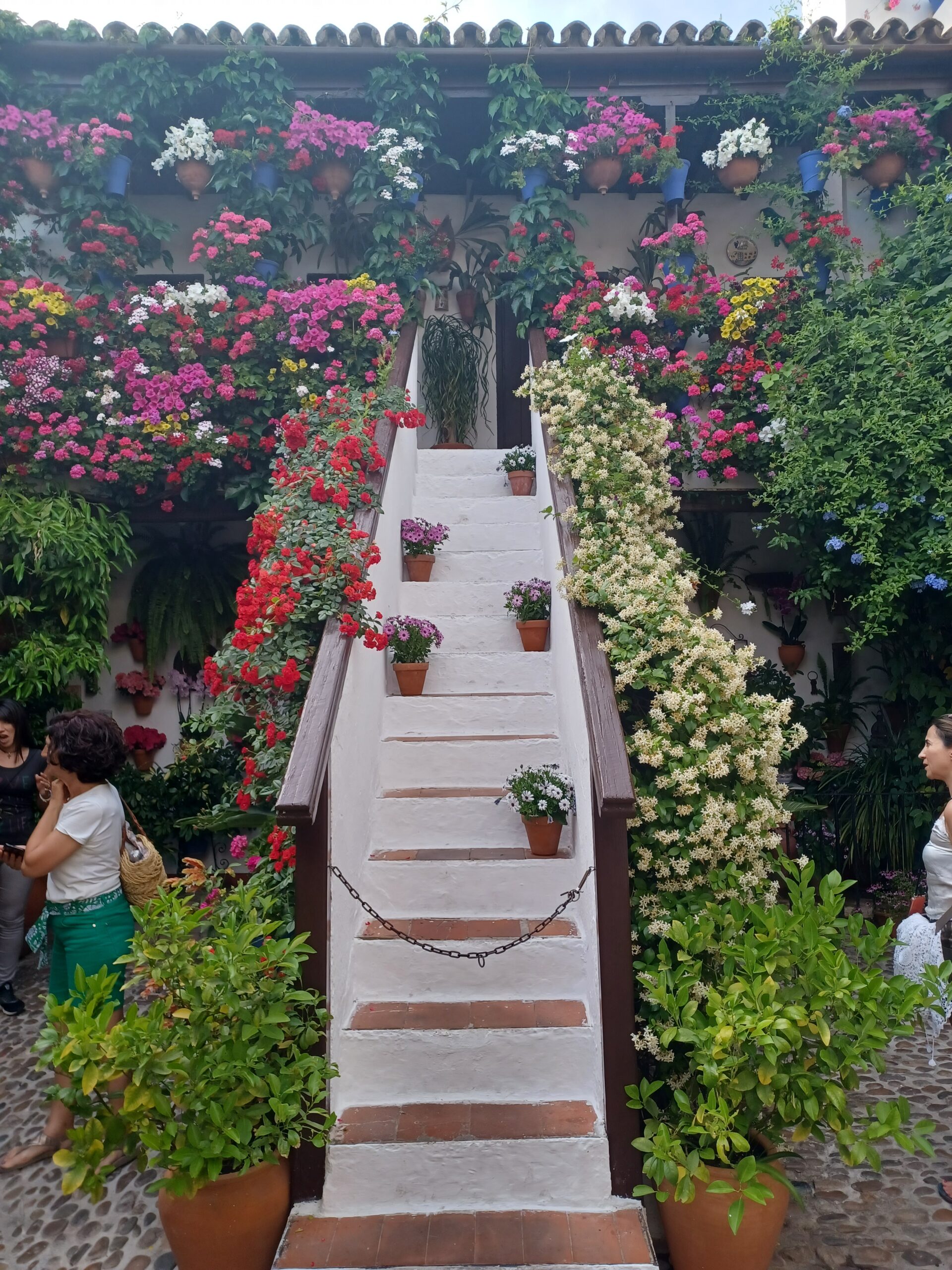 The Patios of Cordoba (World Heritage) really come into their own during the Festival of the Courtyards