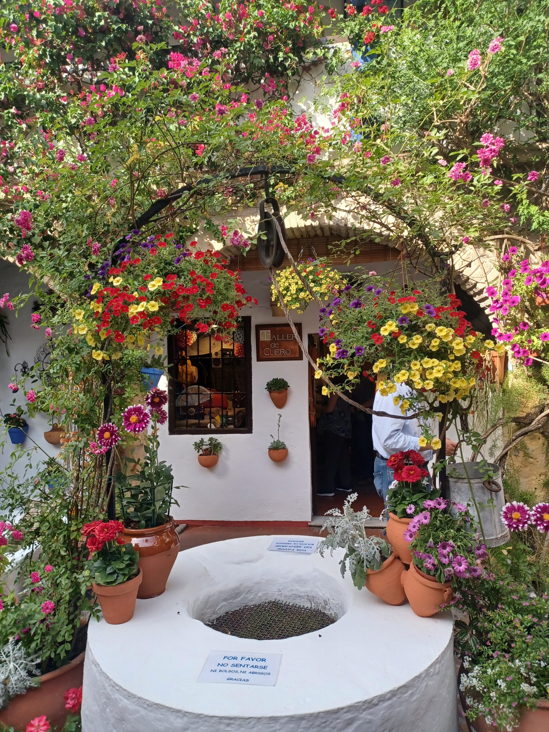 The Patios of Cordoba (World Heritage) really come into their own during the Festival of the Courtyards