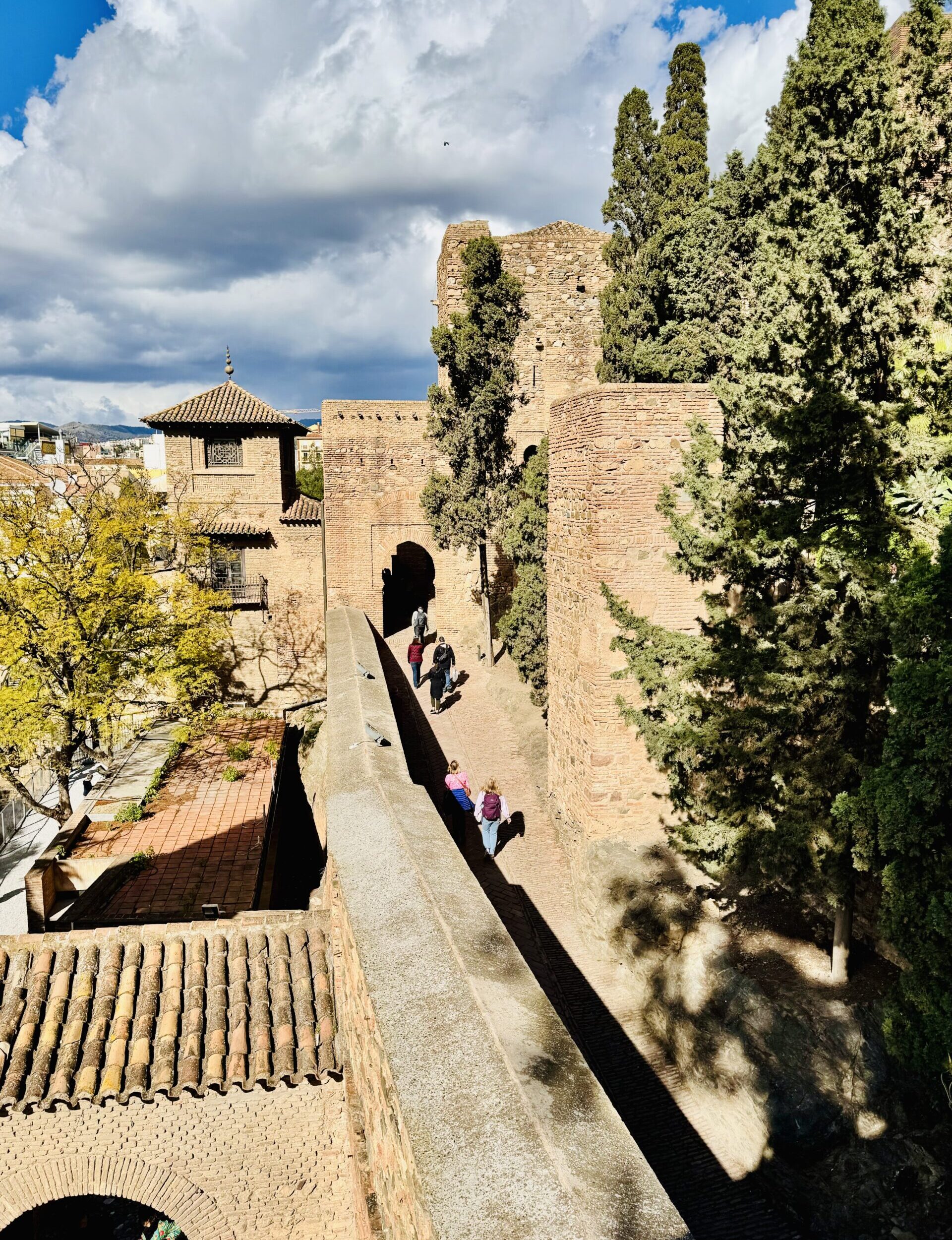 Alcazaba of Malaga with Guide