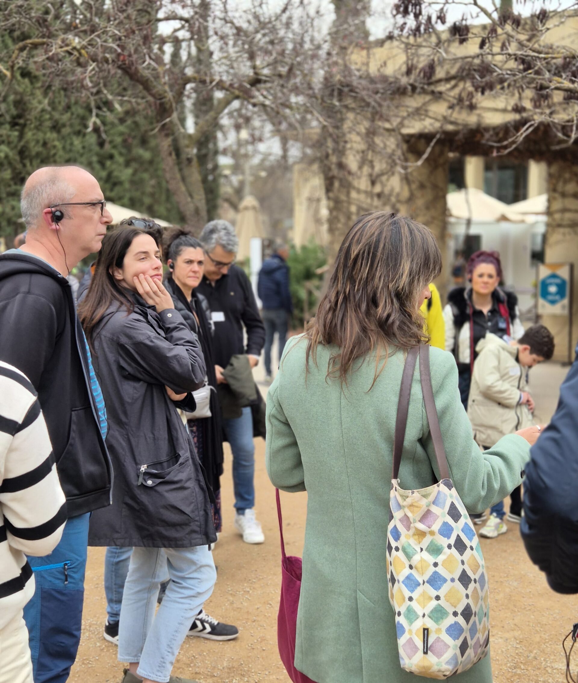 Shared Tour in The Alhambra