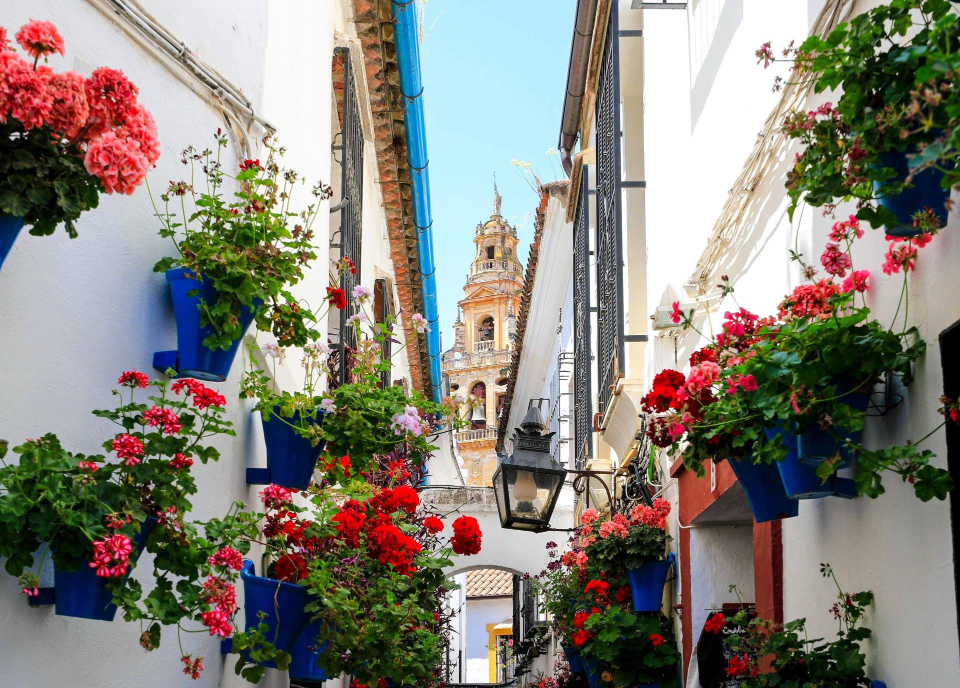 Andalusia Travel Guide