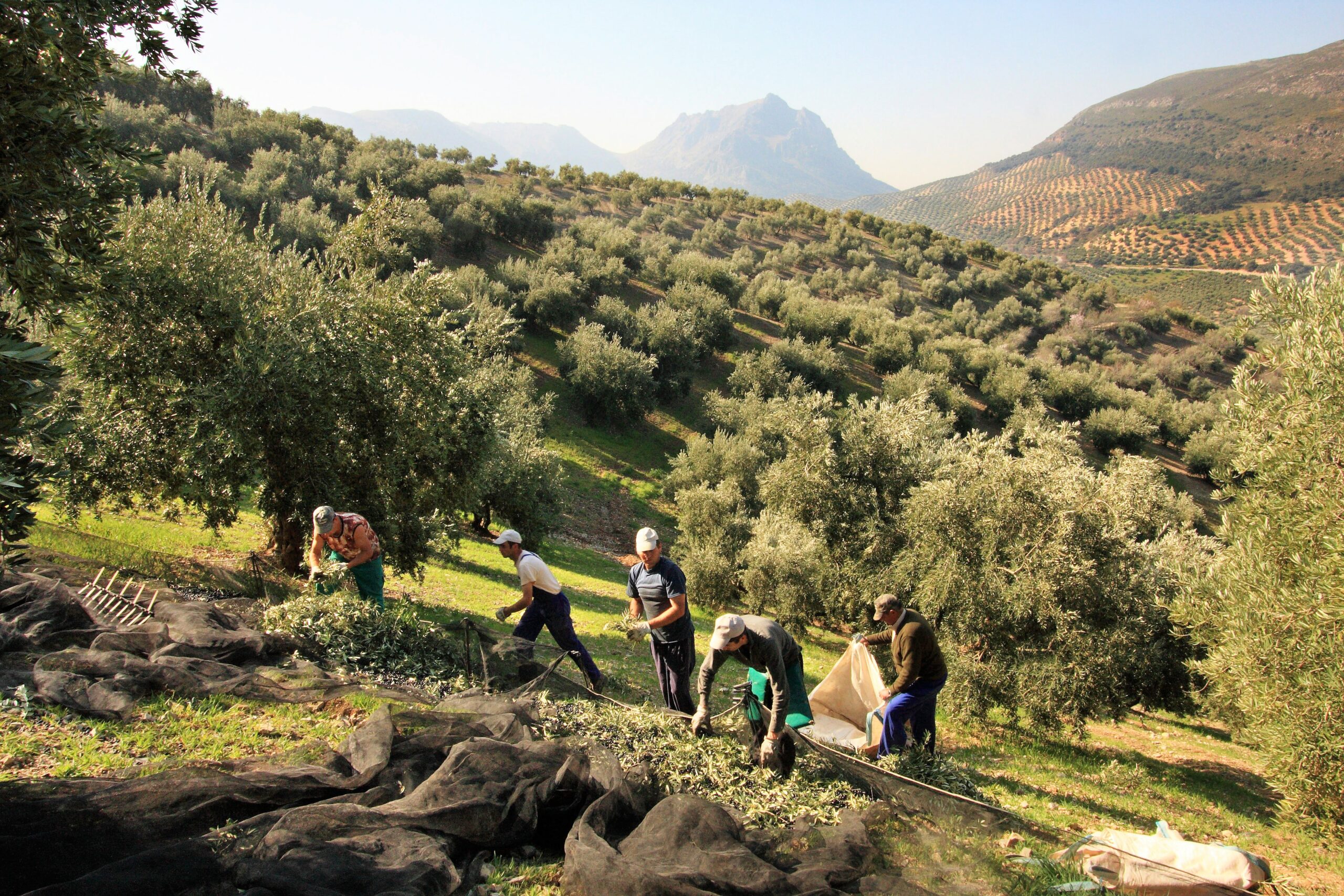 regenerative tourism